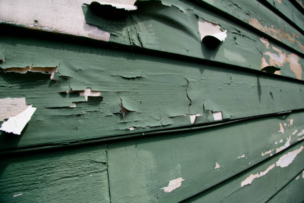 Best Same-Day Junk Removal Services  in Halfway House, PA